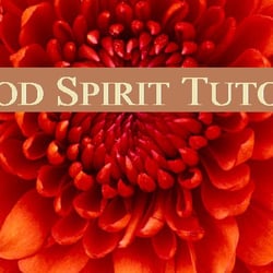 Good Spirit Tutors