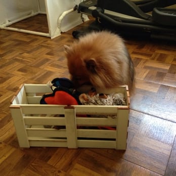 Re-use Hawaii - Free wood louvers! Went back one too many times and made a bunch of bins, one being a dog toy bin :) - Building Supplies Near Me - Honolulu, Hawaii