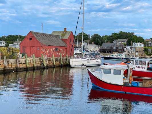 Motif #1 by null