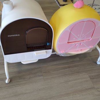 Meow Club - Cat little house on sale - Pet Boarding Near Me - Markham, Ontario Meow Club - Cat little house on sale - Pet Boarding Near Me - Markham, Ontario