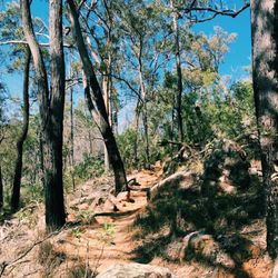 White Rock Conservation Park