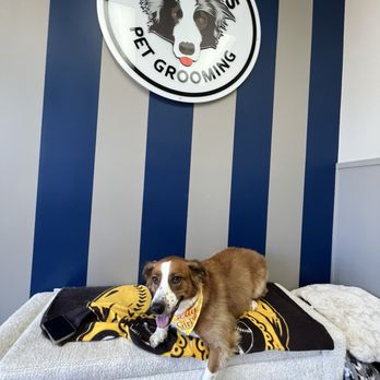 Bobby’s Pet Grooming - Pet Groomers Near Me - Poway, California