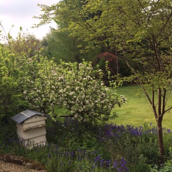 Cherrimans Bed and Breakfast - A bee hive - Bed & Breakfast Near Me - Haslemere, SRY