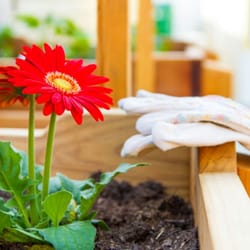 Forever Young Memory Care - Our custom built raised garden allows our residents to continue their hobbies in a safe environment.