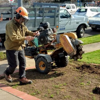 Garcia's Construction & Tree Service - General Contractors Near Me - San Jose, California Garcia's Construction & Tree Service - General Contractors Near Me - San Jose, California