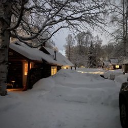Trapper John's Cabin & Cottages