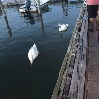 Flynn's - Bars Near Me - Ocean Bay Park, New York