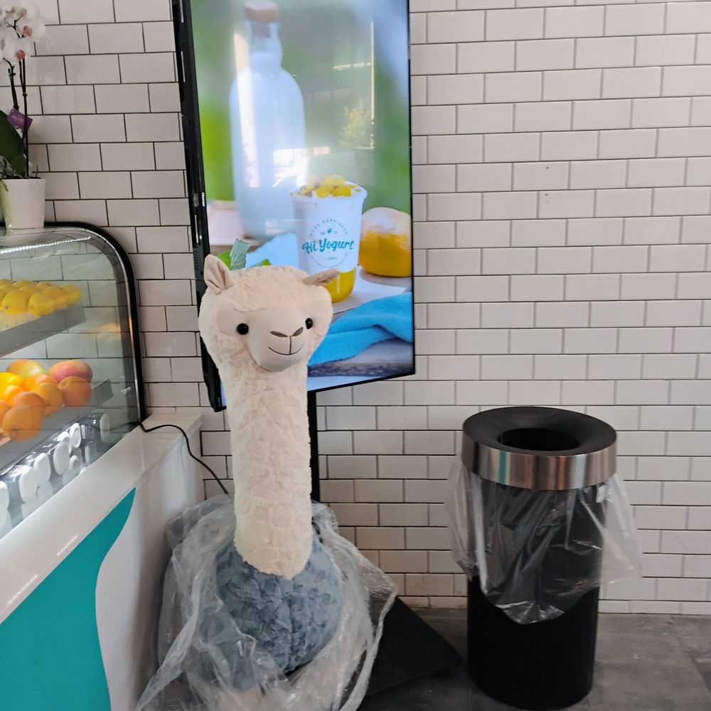 Hi Yogurt - Cute llama - Bubble Tea Near Me - Ottawa, Ontario Hi Yogurt - Cute llama - Bubble Tea Near Me - Ottawa, Ontario