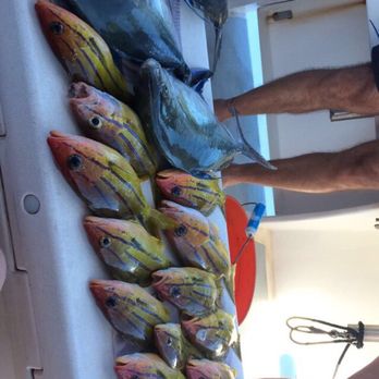 Maui Fun Charters - Not all of the catch but most of it. Amazing day - Boat Charters Near Me - Maalaea, Hawaii