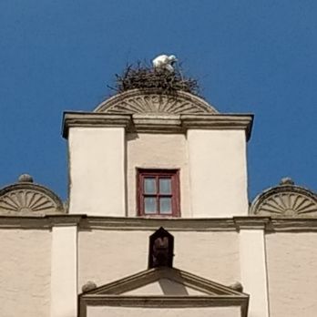 Stadtmauer - Stork nest on top of Nördlingertor - Landmarks & Historical Buildings Near Me