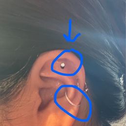Arrow (flat helix) & conch jewelry changes