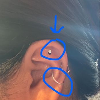 STUDS - Arrow (flat helix) & conch jewelry changes - Jewelry Near Me - Seattle, Washington