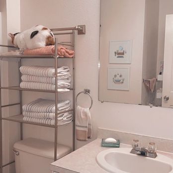 Willow Place - Bathroom - Apartments Near Me - Pullman, Washington Willow Place - Bathroom - Apartments Near Me - Pullman, Washington
