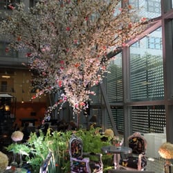Cosmos Bar