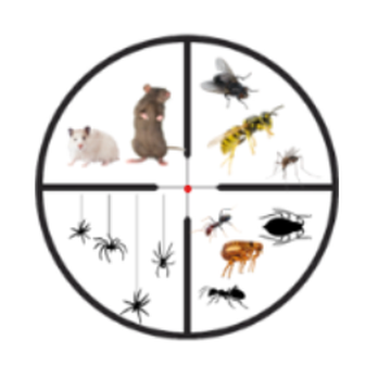 Spiders Gone Pest Control - Contact us for all your pest control needs! - Pest Control Near Me