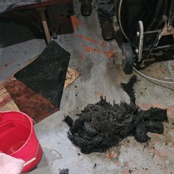 Econo Sewer & Drain