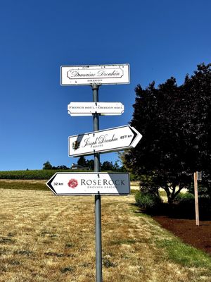 Domaine Drouhin Oregon by null