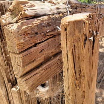 Olivewood Acres - Asked numerous times to fix this. Was never fixed - Horse Boarding Near Me - Alpine, California