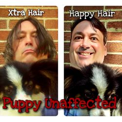 DirtyApples Salon & Barbershop - While the difference is striking to humans, Chippy iz Chillll