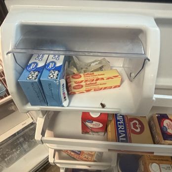 Alight Birmingham - fridge in my unit the day I moved in -pest infestation - University Housing Near Me - Birmingham, Alabama
