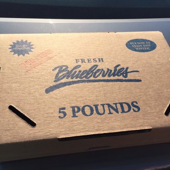 Stateline Blueberries - 5 lbs box - Pick Your Own Farms Near Me - Michigan City, Indiana