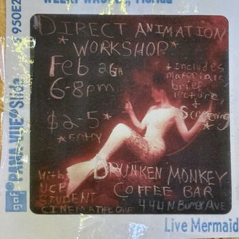 Drunken Monkey Coffee Bar - Coffee & Tea Near Me - Orlando, Florida Drunken Monkey Coffee Bar - Coffee & Tea Near Me - Orlando, Florida