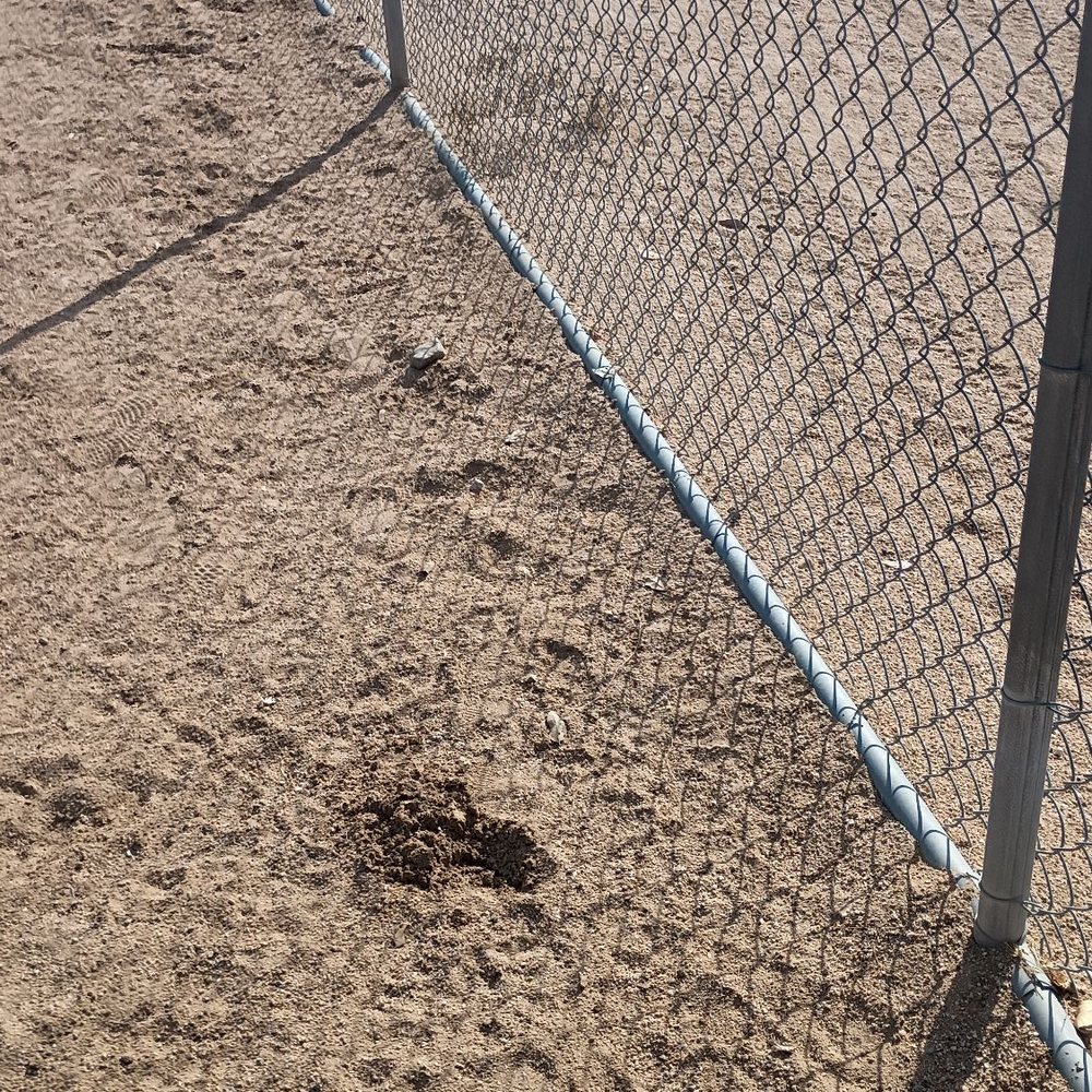 Udall Park - Inside the fence or outside the fence it's the same natural ground covering - Dog Parks Near Me - Tucson, Arizona