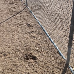 Udall Park - Inside the fence or outside the fence it's the same natural ground covering