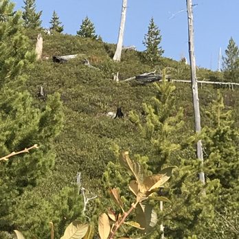 Hidden Falls - View along the trail - Hiking Near Me - Alta, Wyoming