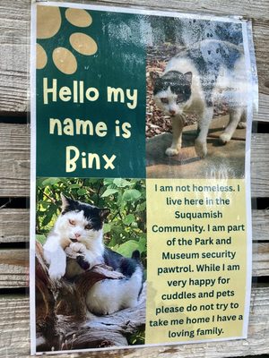 Suquamish Museum by null