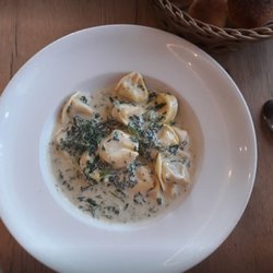 Pizzeria Dolce Vita - Tortellini in Gorgonzola-Sauce