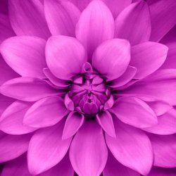 Mind Body Soul Solution
