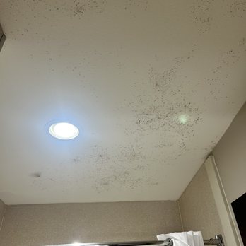 Best Western Plus - Lafayette - Black mold - Hotels Near Me - Lafayette, Indiana Best Western Plus - Lafayette - Black mold - Hotels Near Me - Lafayette, Indiana