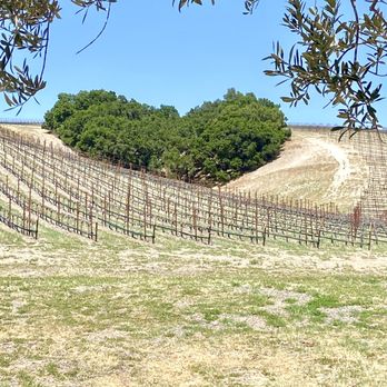 Niner Wine Estates - HEART HILL - Wine Tasting Room Near Me - Paso Robles, California Niner Wine Estates - HEART HILL - Wine Tasting Room Near Me - Paso Robles, California