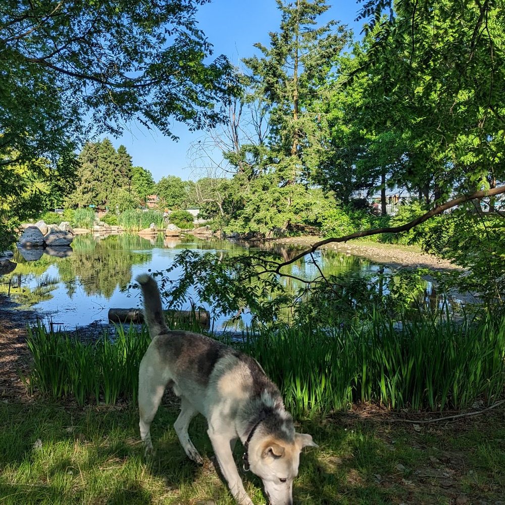 Charleson Park - Parks Near Me - Vancouver, British Columbia