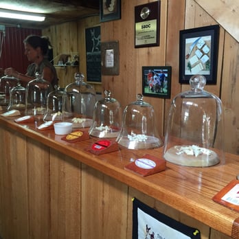 Lively Run Dairy - The cheese tasting. - Cheese Shops Near Me - Interlaken, New York