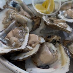 Aquabite Market & Kitchen - Dozen oysters