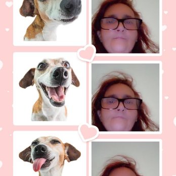 Jimmy John's - In this photo is me and my beagle Roscoe i love him so much i lost him in 2017/l - Sandwiches Near Me - Jeffersonville, Indiana Jimmy John's - In this photo is me and my beagle Roscoe i love him so much i lost him in 2017/l - Sandwiches Near Me - Jeffersonville, Indiana