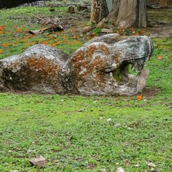 MexiGo Tours - Snake Ruin and Yellow Flowers at Chichen Itza.