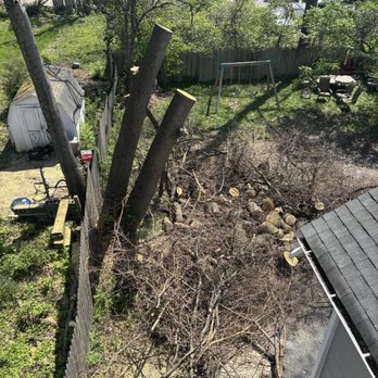 Dark Horse Tree Service - Tree Services Near Me Dark Horse Tree Service - Tree Services Near Me