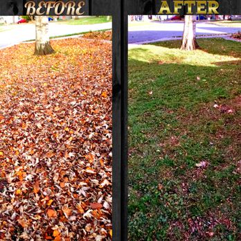 MacDonald Property Maintenance - Electric Leaf Mulching Reduces Emissions in the Landfill while Providing your Lawn with Dense Nutrients in the Spring. - Gardeners Near Me - Stratford, Ontario MacDonald Property Maintenance - Electric Leaf Mulching Reduces Emissions in the Landfill while Providing your Lawn with Dense Nutrients in the Spring. - Gardeners Near Me - Stratford, Ontario