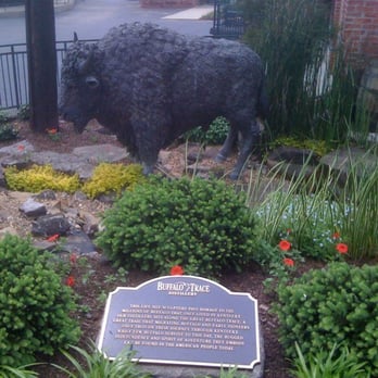 Buffalo Trace Distillery - Have you seen Buffalo? - Distilleries Near Me - Frankfort, Kentucky