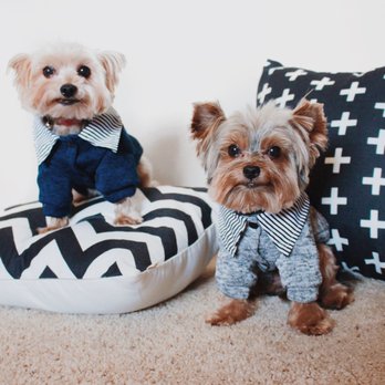 Mountainview Pet Boutique - Pet Groomers Near Me - Lake Elsinore, California Mountainview Pet Boutique - Pet Groomers Near Me - Lake Elsinore, California
