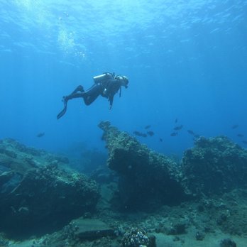 Banyan Tree Divers Maui - Scuba Diving Near Me - Lahaina, Hawaii Banyan Tree Divers Maui - Scuba Diving Near Me - Lahaina, Hawaii