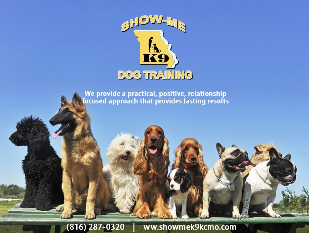 SHOW ME K9 DOG TRAINING 27905 E Colbern Rd, Lee's Summit, Missouri