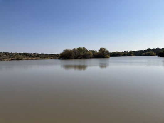 Charco del Ingenio by null