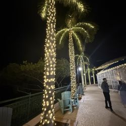 Harbourside Place