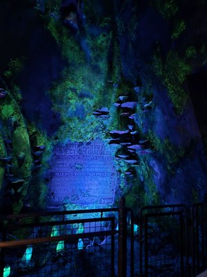 Pandora – The World of Avatar by null