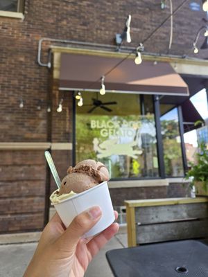 Black Dog Gelato by null