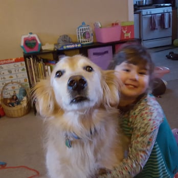 The Dog Lounge - Huck the happy golden puppy. - Pet Groomers Near Me - Libertyville, Illinois The Dog Lounge - Huck the happy golden puppy. - Pet Groomers Near Me - Libertyville, Illinois